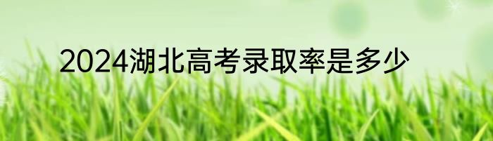 2024湖北高考录取率是多少