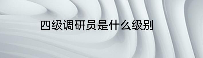 四级调研员是什么级别