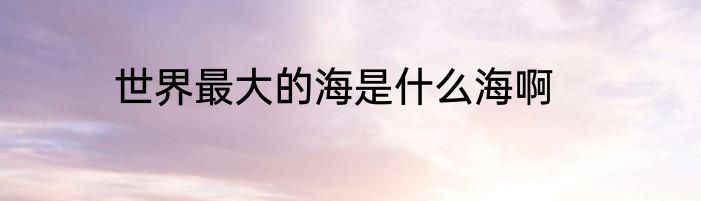 世界最大的海是什么海啊