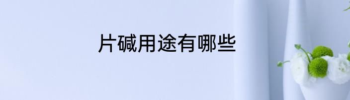 片碱用途有哪些