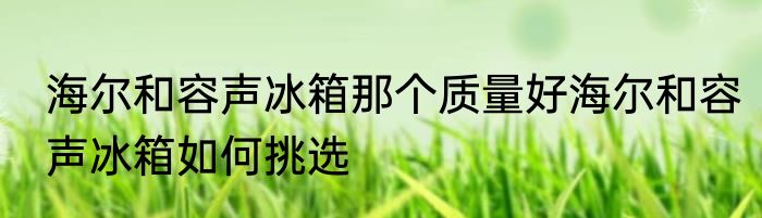 海尔和容声冰箱那个质量好海尔和容声冰箱如何挑选