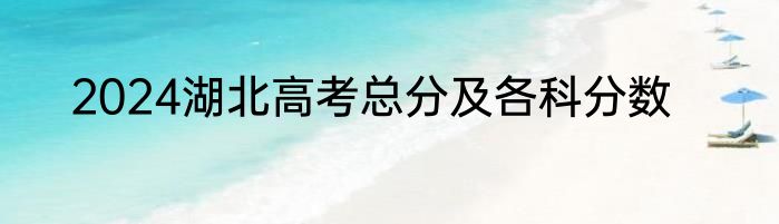 2024湖北高考总分及各科分数