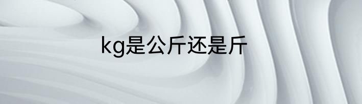 kg是公斤还是斤