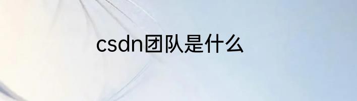 csdn团队是什么