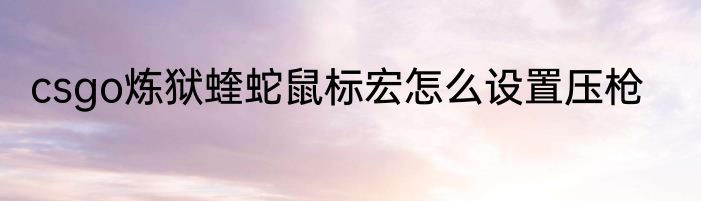 csgo炼狱蝰蛇鼠标宏怎么设置压枪