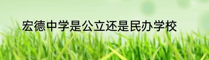 宏德中学是公立还是民办学校