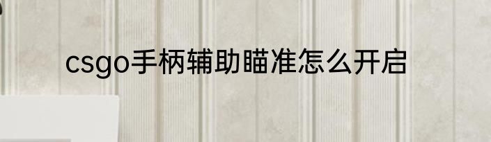 csgo手柄辅助瞄准怎么开启