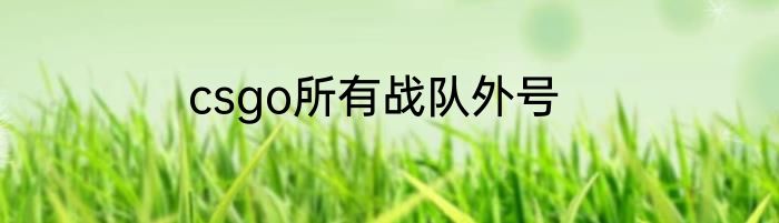 csgo所有战队外号