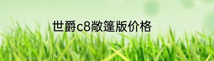 世爵c8敞篷版价格