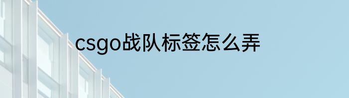 csgo战队标签怎么弄