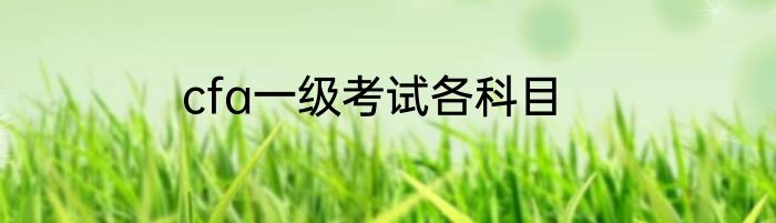cfa一级考试各科目
