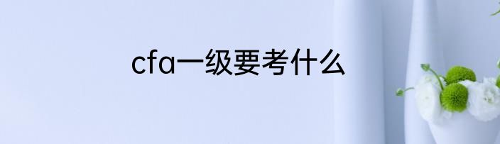 cfa一级要考什么