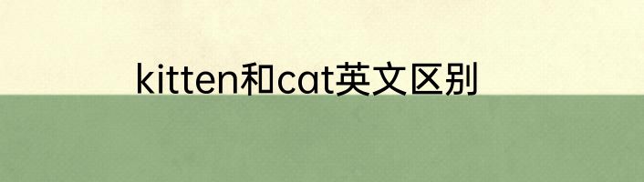 kitten和cat英文区别