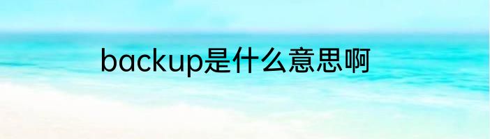 backup是什么意思啊