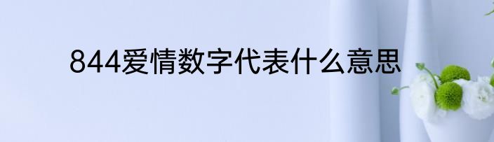 844爱情数字代表什么意思