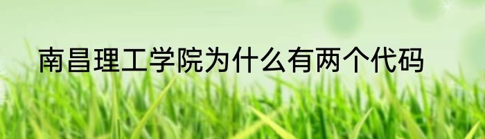 南昌理工学院为什么有两个代码