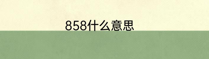 858什么意思