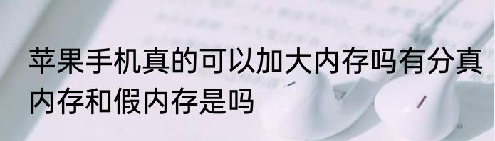 苹果手机真的可以加大内存吗有分真内存和假内存是吗