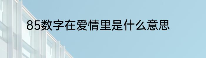 85数字在爱情里是什么意思