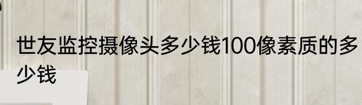 世友监控摄像头多少钱100像素质的多少钱