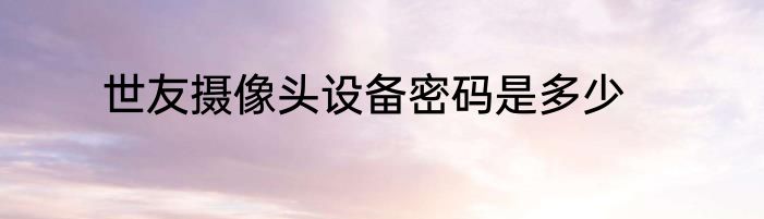 世友摄像头设备密码是多少