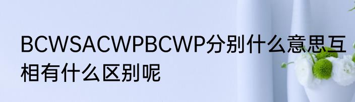 BCWSACWPBCWP分别什么意思互相有什么区别呢