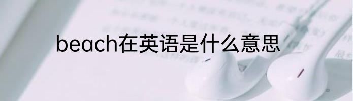 beach在英语是什么意思