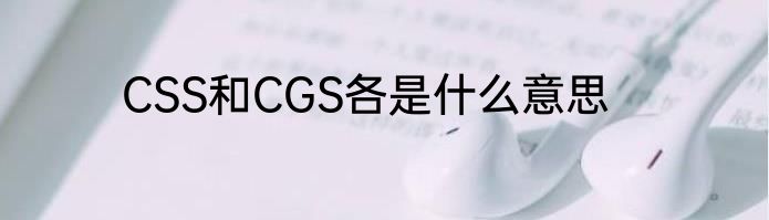 CSS和CGS各是什么意思