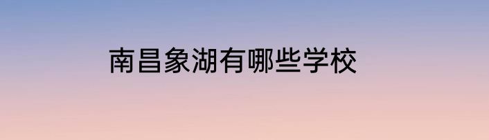 南昌象湖有哪些学校