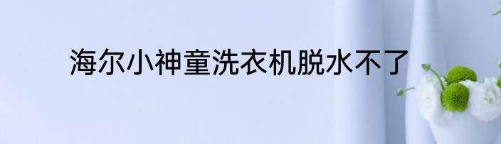 海尔小神童洗衣机脱水不了