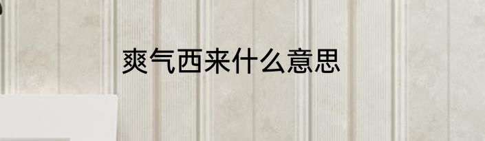 爽气西来什么意思