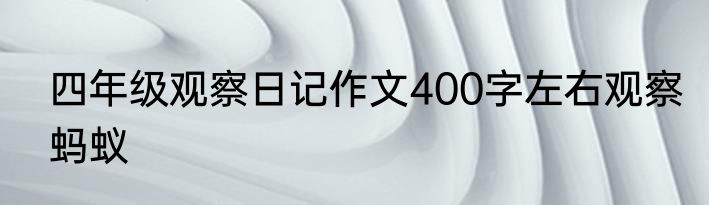 四年级观察日记作文400字左右观察蚂蚁