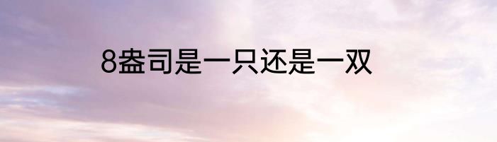 8盎司是一只还是一双