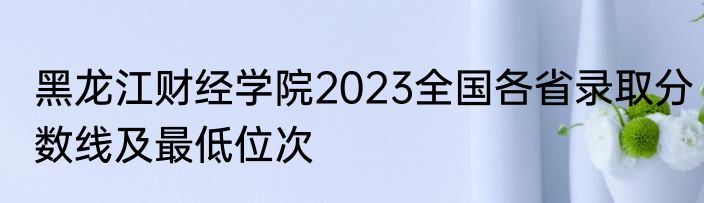 黑龙江财经学院2023全国各省录取分数线及最低位次