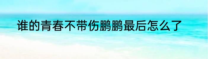 谁的青春不带伤鹏鹏最后怎么了