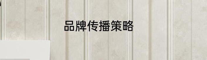 品牌传播策略