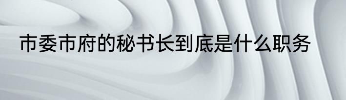 市委市府的秘书长到底是什么职务