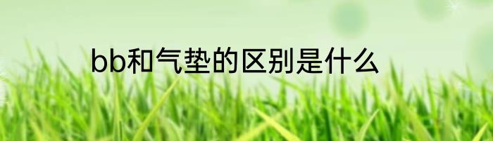 bb和气垫的区别是什么