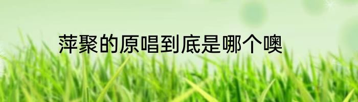 萍聚的原唱到底是哪个噢