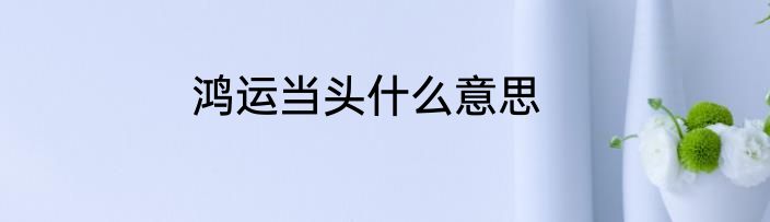 鸿运当头什么意思