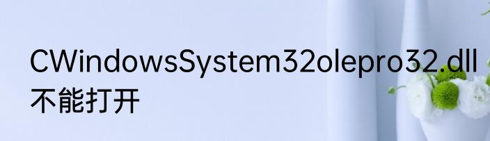 CWindowsSystem32olepro32.dll不能打开