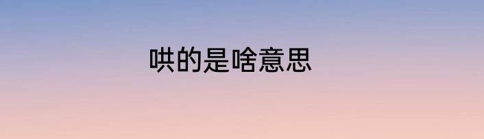 哄的是啥意思