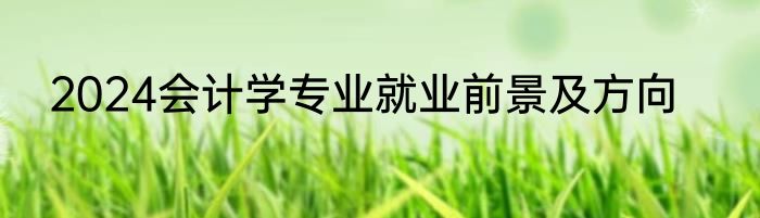 2024会计学专业就业前景及方向