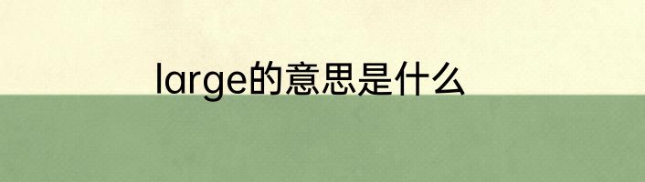 large的意思是什么