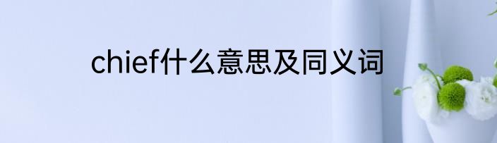 chief什么意思及同义词