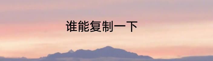 谁能复制一下