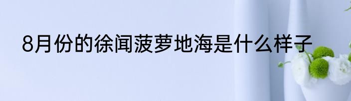 8月份的徐闻菠萝地海是什么样子
