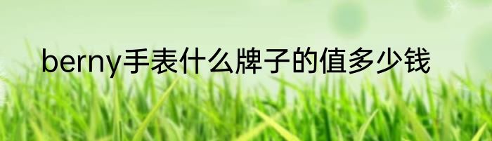 berny手表什么牌子的值多少钱
