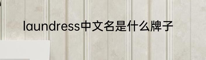 laundress中文名是什么牌子