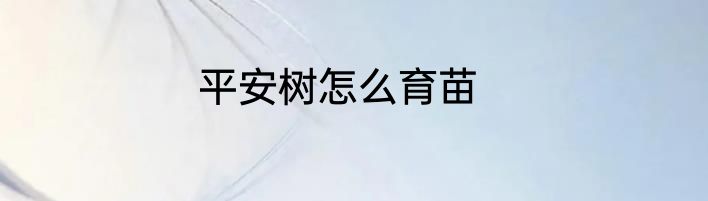 平安树怎么育苗